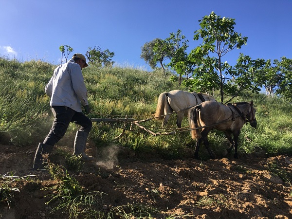 Foto - Yaşıtları köyü terk ederken onlar kalmayı tercih etti! Sayıları az günlük 3 bin lira kazanıyorlar