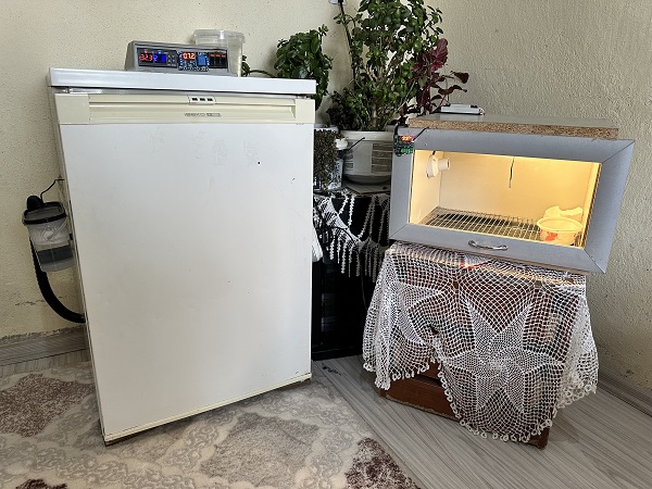 Foto - Yaşıtları oyun başından kalkmıyor! 15 yaşındaki genç bakın odasında ne yetiştirdi