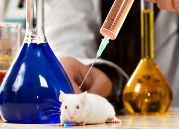 Foto - Yaşlandırmayı geciktirmenin yolunu buldular