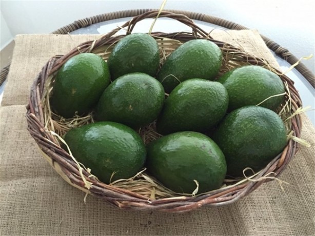 Foto - Yaşlanma sürecini yavaşlatıyor!