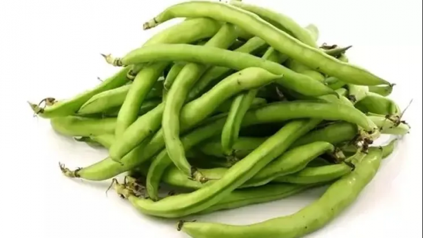 Foto - Yaşlanmayı durduruyor! İbn-i Sina'dan müthiş öneri