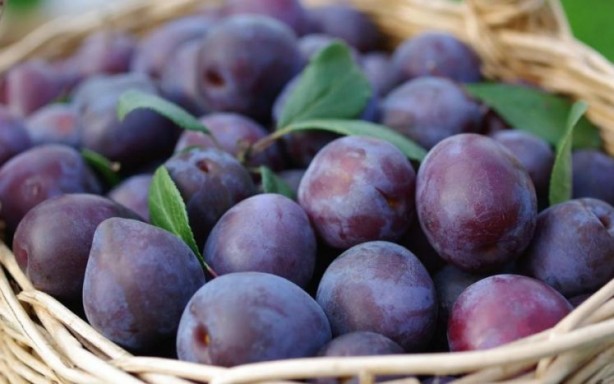 Foto - Yaşlanmayı geciktiriyor... İşte faydaları saymakla bitmeyen o meyveler