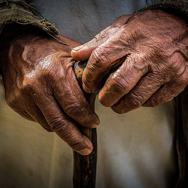 Yaşlanmayı önleyen 10 besin