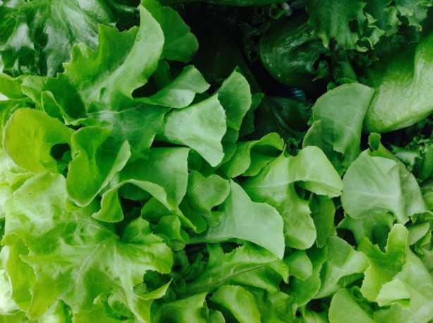 Foto - Yaşlanmayı önleyen 10 besin