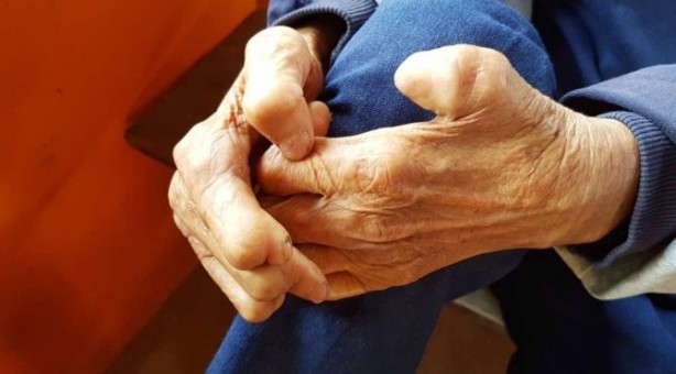 Foto - Yaşlanmayı önleyen 10 besin