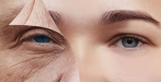 Foto - Yaşlanmayı yavaşlatan 10 besin