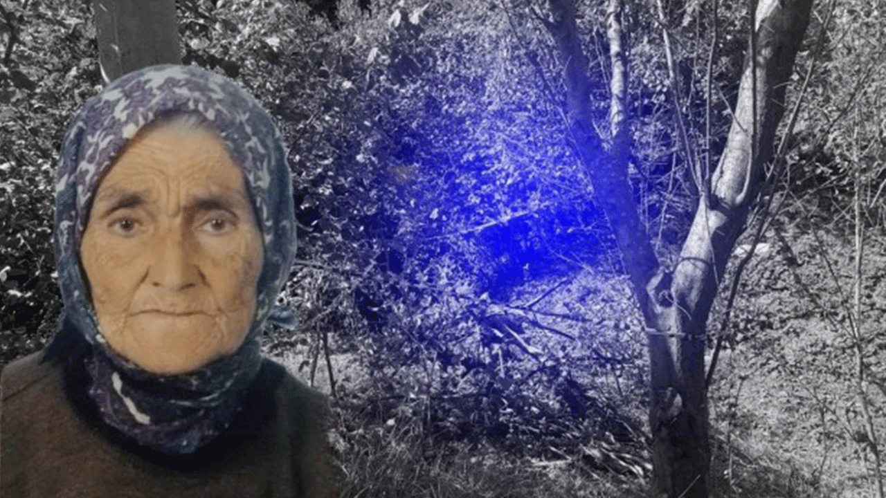 Yaşlı kadını domuz zannederek öldürdü! Zonguldak’ta inanılmaz olay