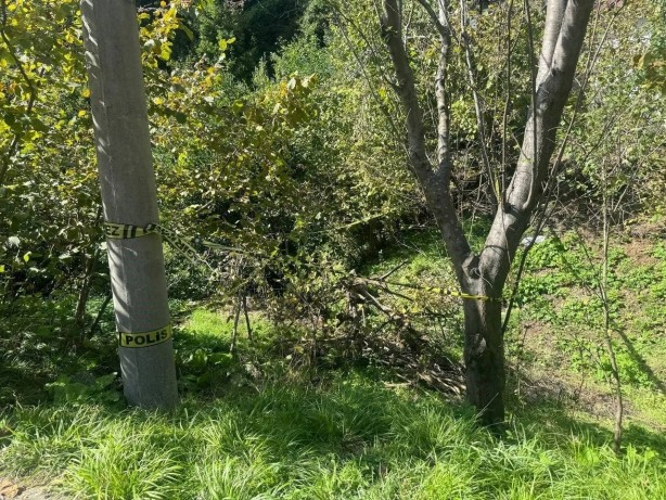 Foto - Yaşlı kadını domuz zannederek öldürdü! Zonguldak’ta inanılmaz olay