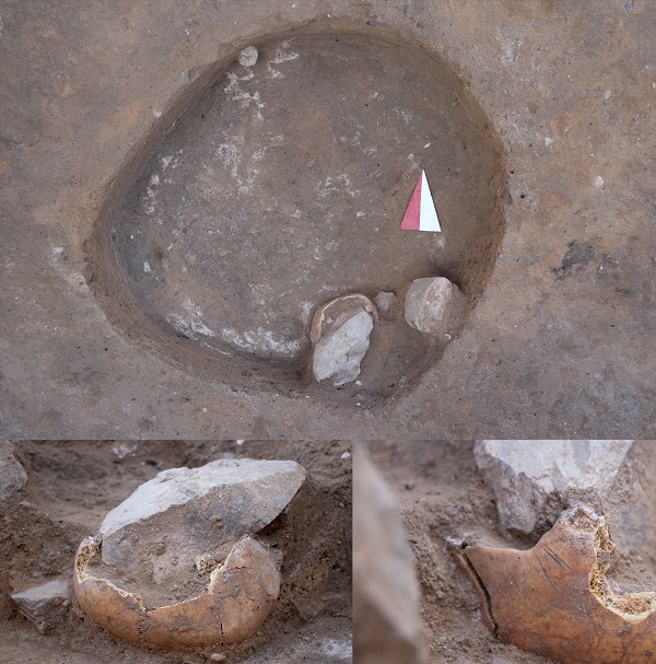 Foto - Yassıhöyük'te 6 bin yıllık kafatası bulundu