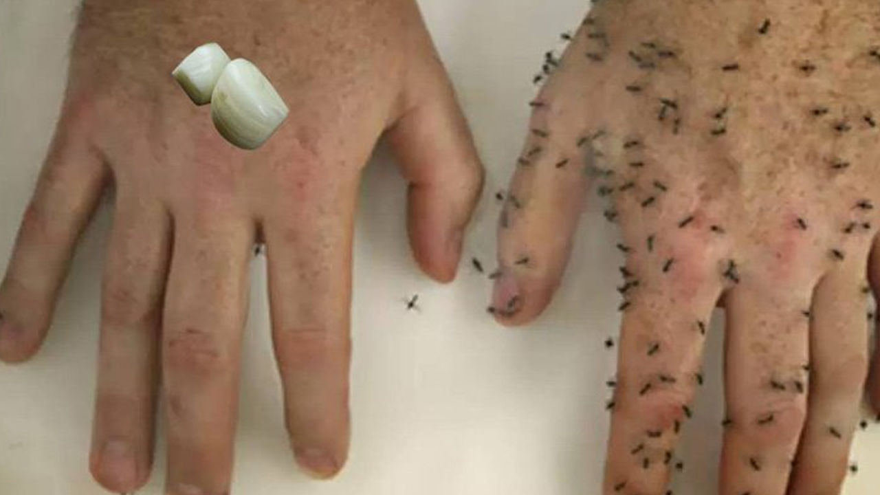 Foto - Yastığın altına bir diş sarımsak koymak çok iyi geliyor! Sebebi ortaya çıktı, yapan herkesi şaşırttı! Siper oluyor, test edin