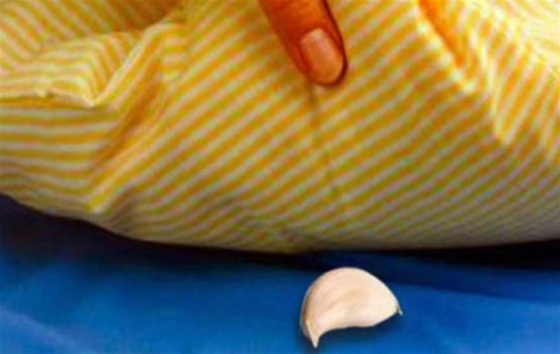 Foto - Yastığın altına sarımsak koyarsanız...