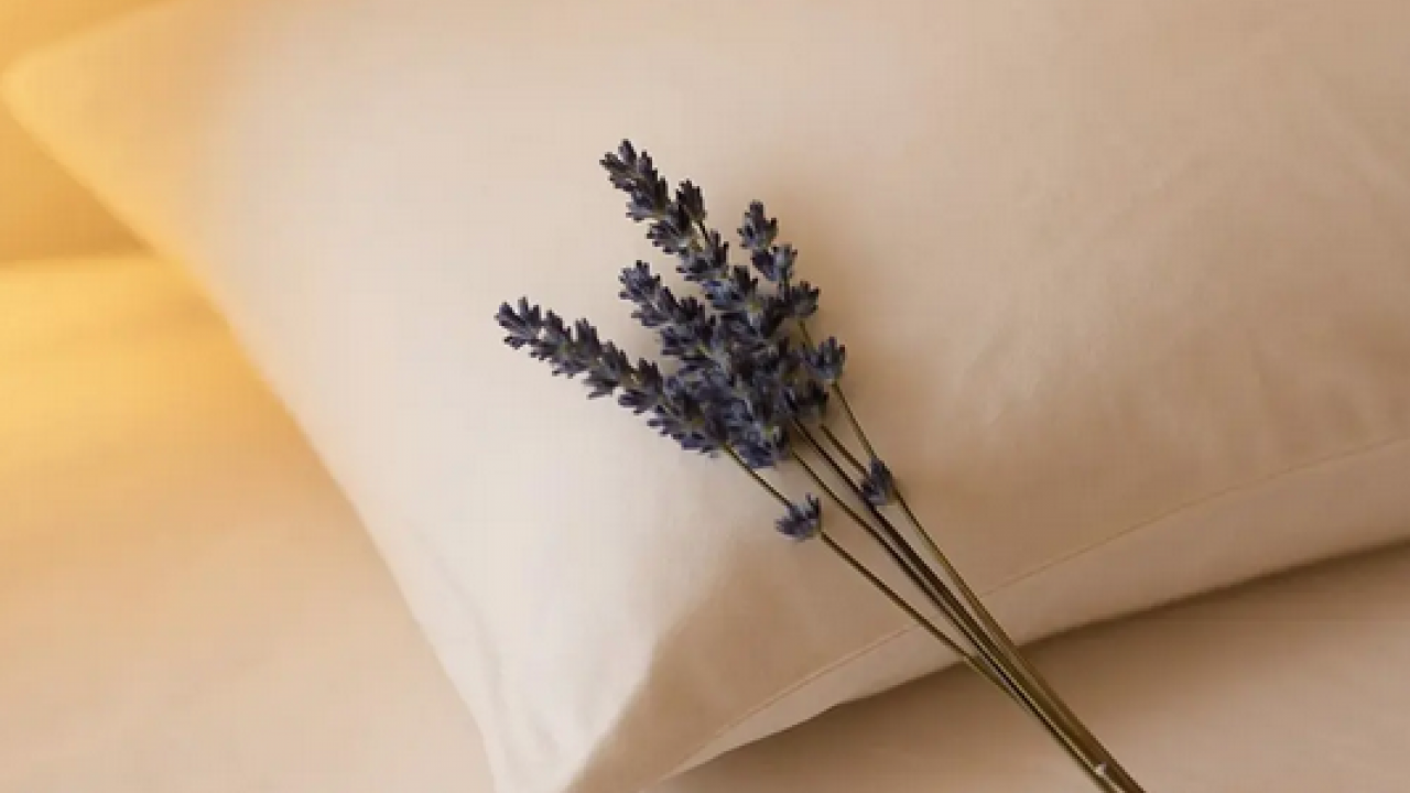 Foto - Yastığın yanına koyunca mışıl mışıl uyutuyor! Resmen uykusuzluğu bitiriyor