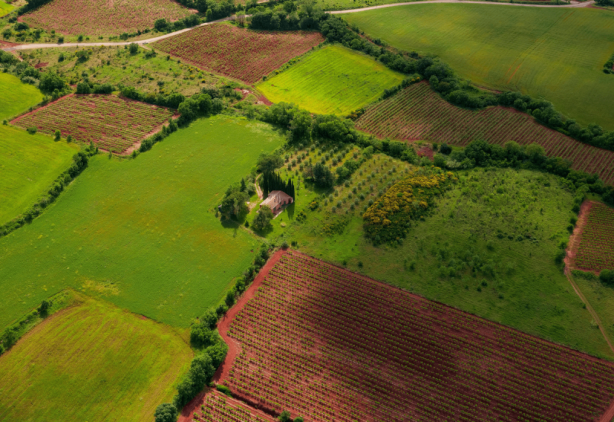 Yastık altında parası olanlar kapış kapış o şehirden arsa alıyor! İlk kez oluyor! Tam 20 katına çıktı! Paranın kokusunu alanlar gözünü oraya dikti
