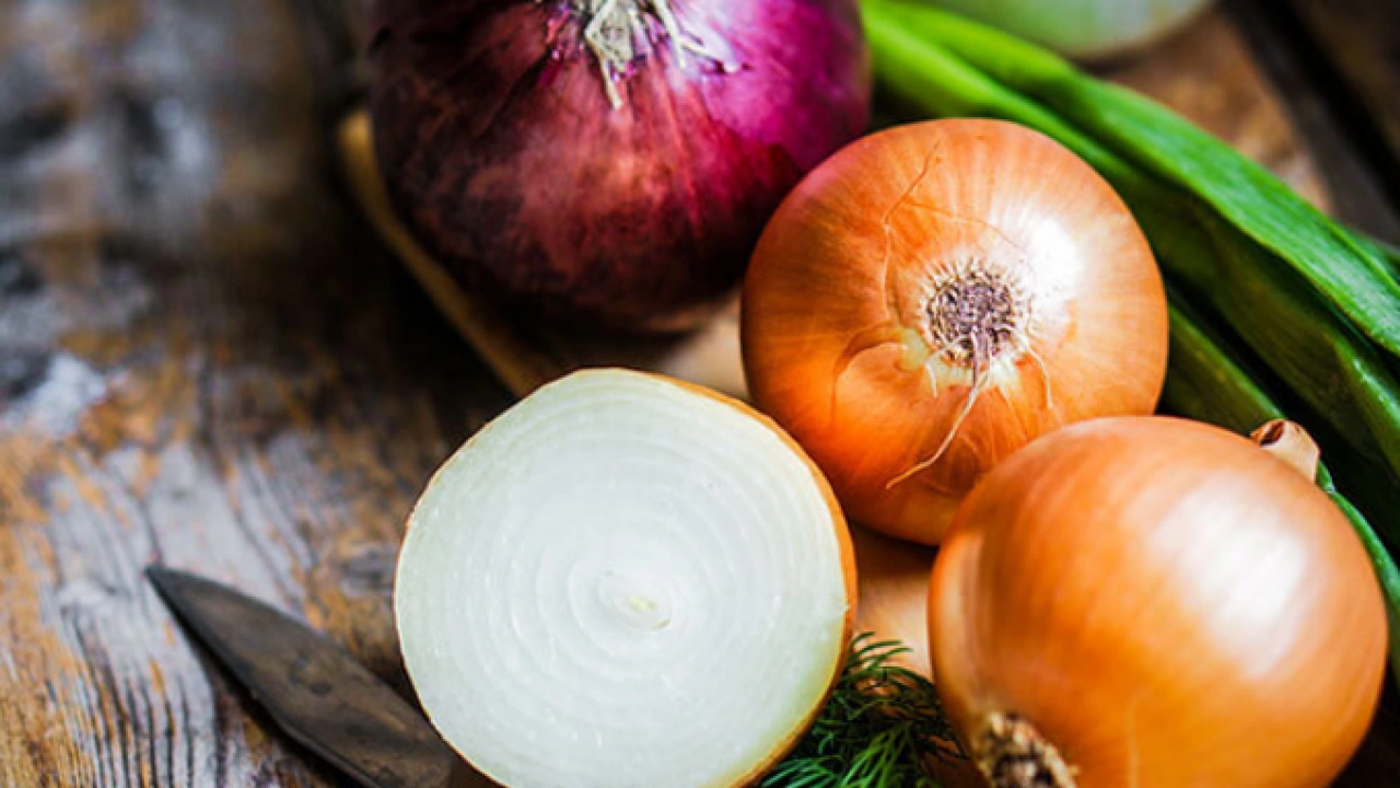 Foto - Yatak odasında soğanla uyumanın faydası ne? Mikroplar kaçacak yer arayacak…