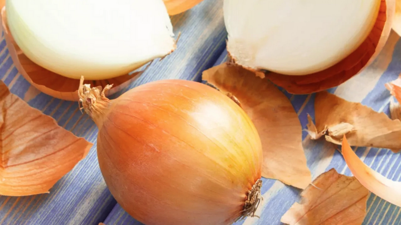 Foto - Yatak odasında soğanla uyumanın faydası ne? Mikroplar kaçacak yer arayacak…