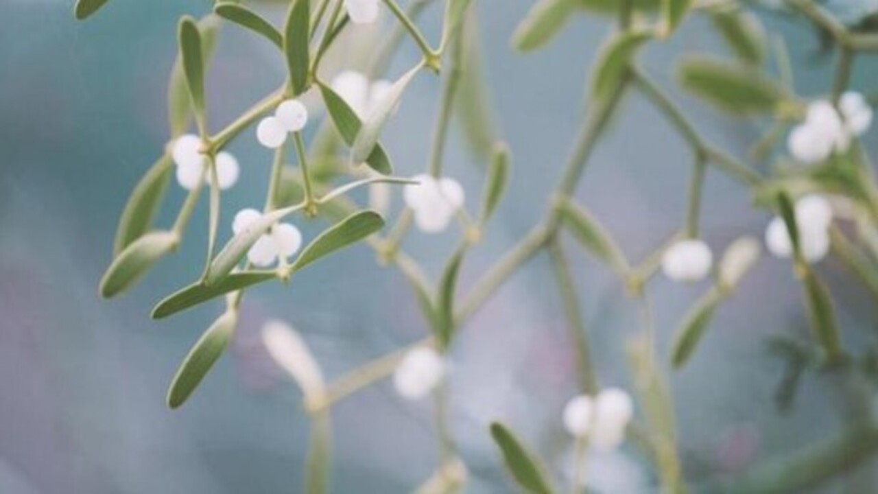 Foto - Yatmadan önce bir bardak için! Horlamaya sağlıklı çözüm