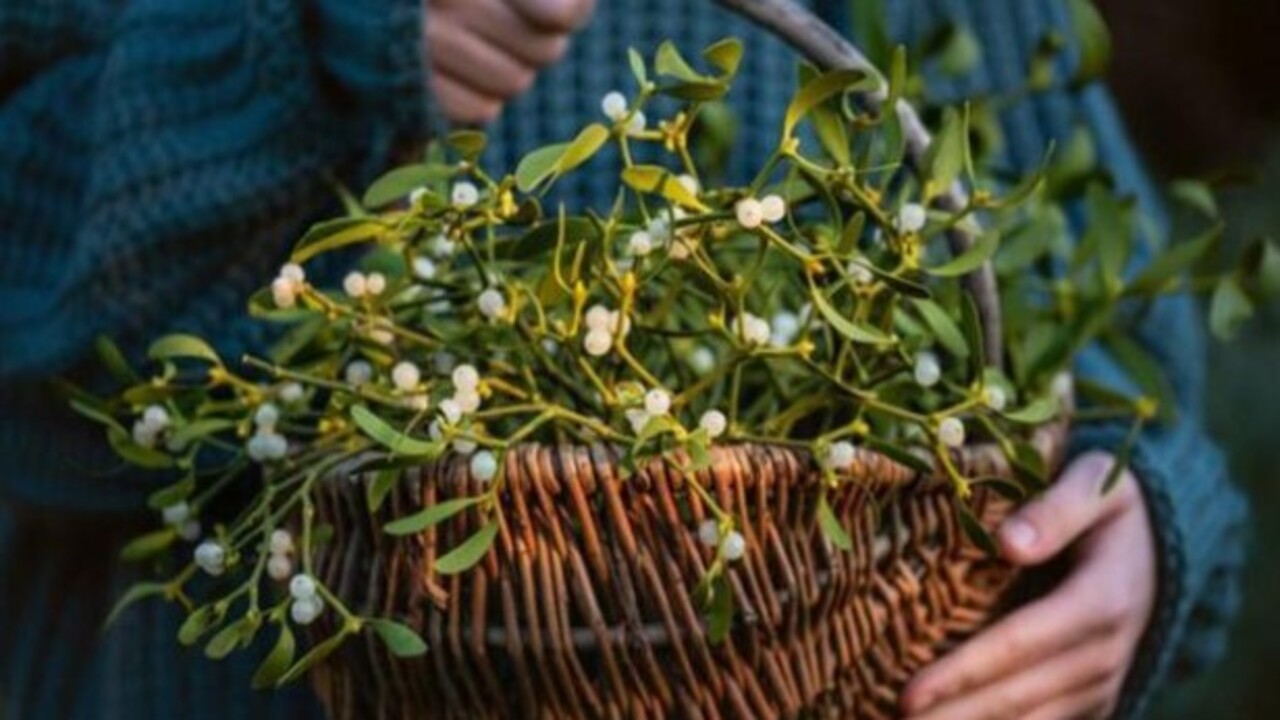 Foto - Yatmadan önce bir bardak için! Horlamaya sağlıklı çözüm