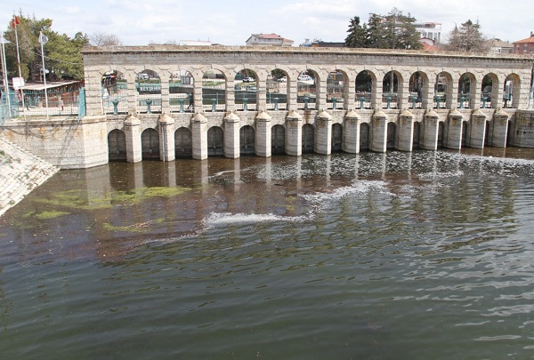 Foto - Yavru balıklar herkesi şaşırttı