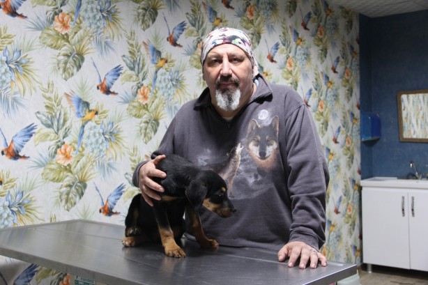 Foto - Yavru köpeğe kan donduran işkence! Görüntüler yürekleri sızlattı