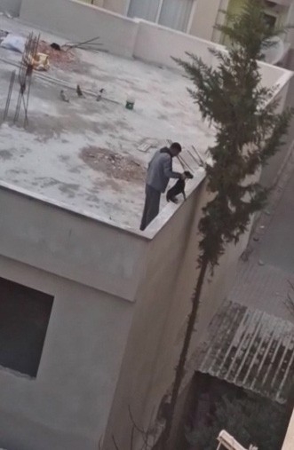 Yavru köpeğe kan donduran işkence! Görüntüler yürekleri sızlattı