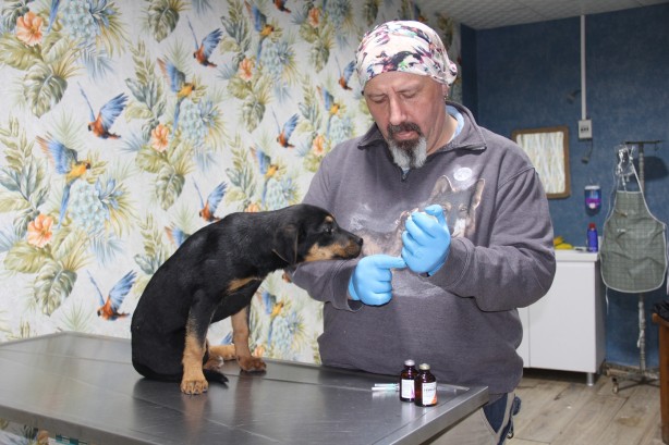 Foto - Yavru köpeğe kan donduran işkence! Görüntüler yürekleri sızlattı