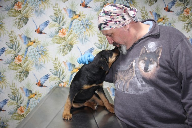 Foto - Yavru köpeğe kan donduran işkence! Görüntüler yürekleri sızlattı