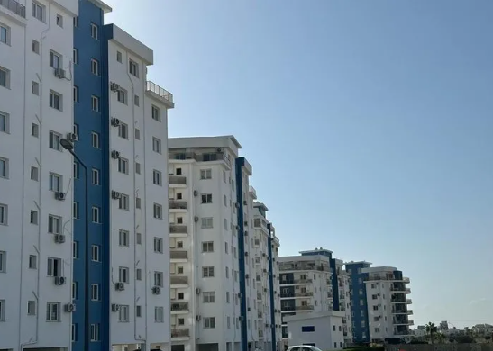 Foto - Yavru Vatan'a Yahudi kıskacı! 25 bin dönüm arazi aldılar