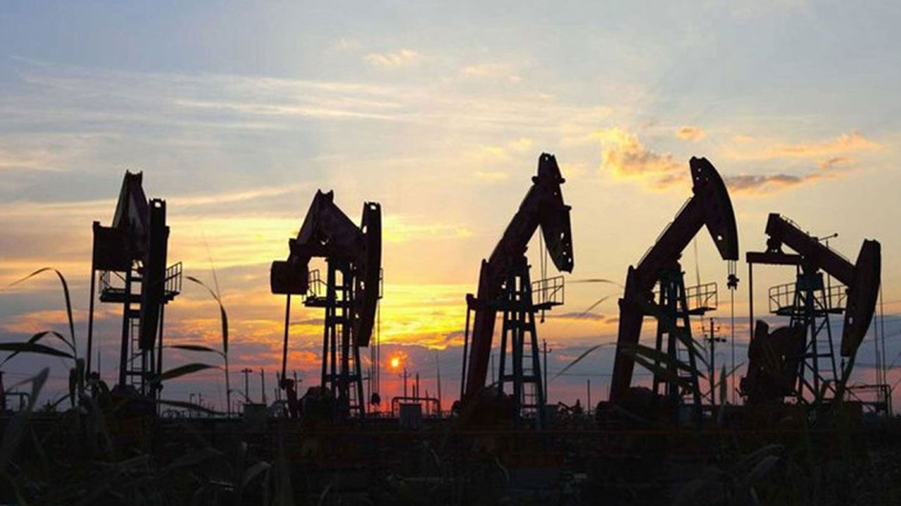 Yavuz Donat 'Orada petrol var' diyerek sitem etti: İnanmayan varsa gelsin görsün