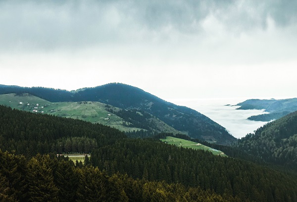 Foto - Yayla bulutlar arasında kayboldu