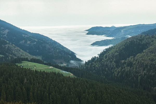 Foto - Yayla bulutlar arasında kayboldu