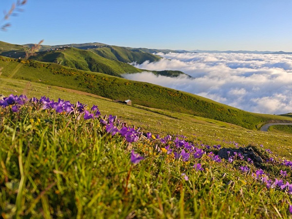 Foto - Yayla değil adeta bulut denizi