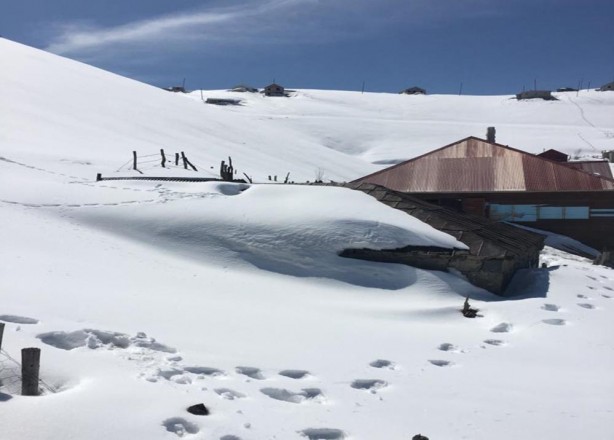 Foto - Yayla evine dadandılar! Fotokapana yakalandılar