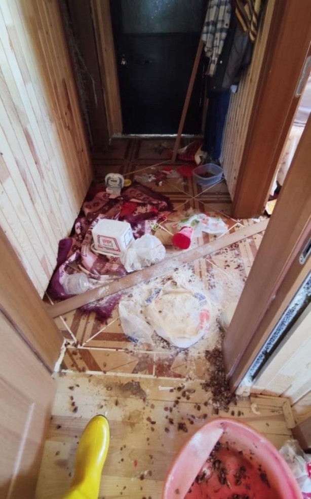 Yayla evine dadandılar! Fotokapana yakalandılar