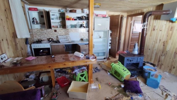 Foto - Yayla evine dadandılar! Fotokapana yakalandılar