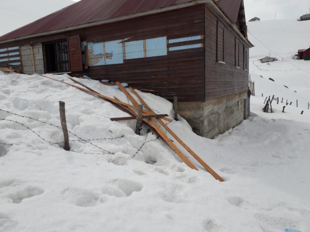 Foto - Yayla evine dadandılar! Fotokapana yakalandılar