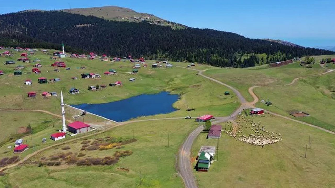 Yayla yollarında korkunç manzara! Magandalar tabelaları hedef tahtasına çevirdi
