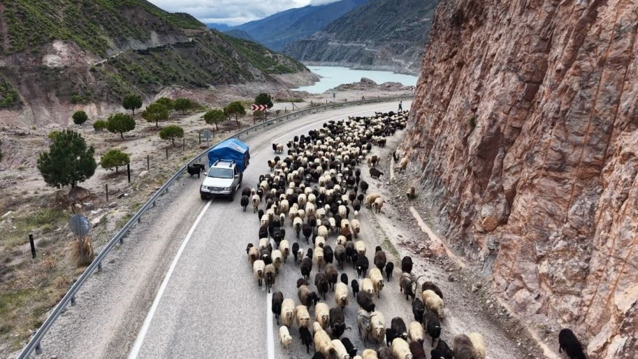 Yayla yolunda zorlu göçler başladı