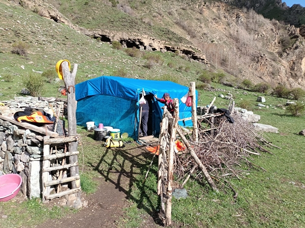 Foto - Yaylada rahatsızlanan kadının yardımına Mehmetçik yetişti