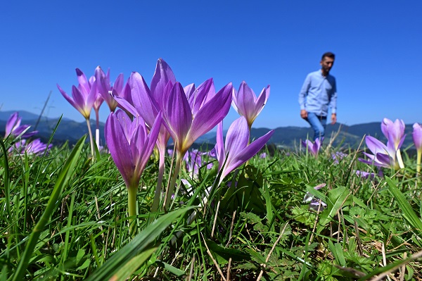 Foto - Yaylalar ‘göç’ habercileri ile süslendi
