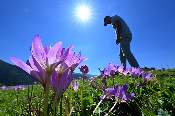 Foto - Yaylalar ‘göç’ habercileri ile süslendi