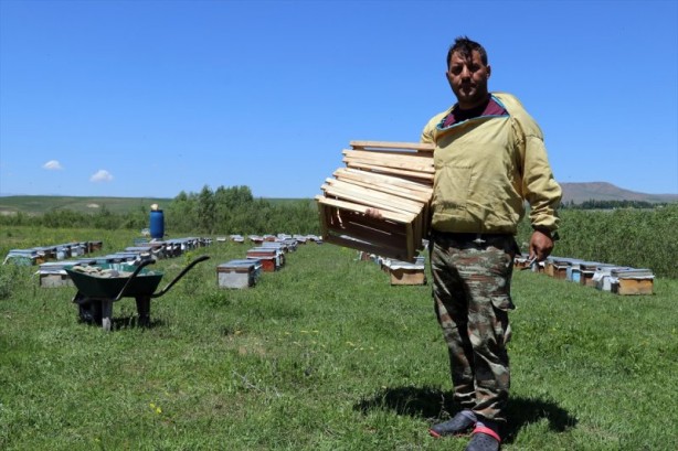 Foto - Yaylalarda bal mesaisi