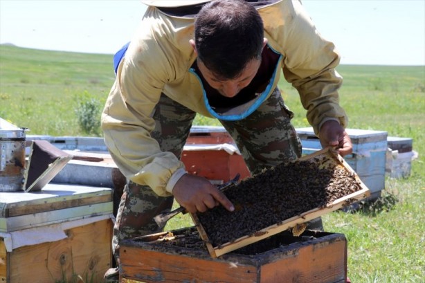 Foto - Yaylalarda bal mesaisi