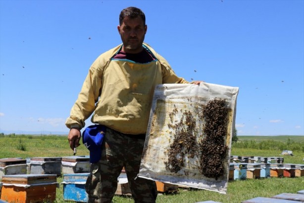 Foto - Yaylalarda bal mesaisi