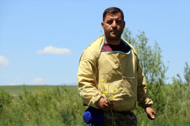 Yaylalarda bal mesaisi