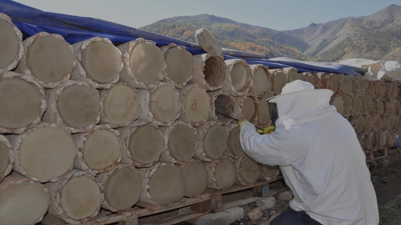 Foto - Yaylalarda geleneksel yöntemlerle üretiliyor! Karakovan balı hasadı başladı