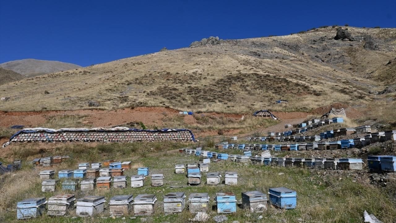 Foto - Yaylalarda geleneksel yöntemlerle üretiliyor! Karakovan balı hasadı başladı