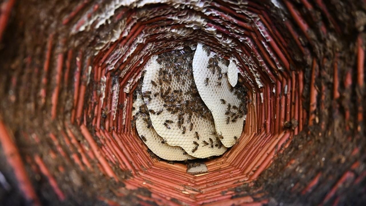 Foto - Yaylalarda geleneksel yöntemlerle üretiliyor! Karakovan balı hasadı başladı
