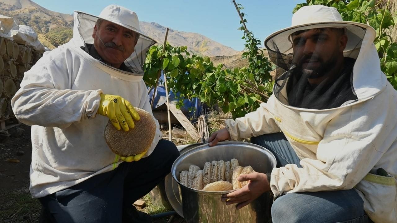 Foto - Yaylalarda geleneksel yöntemlerle üretiliyor! Karakovan balı hasadı başladı