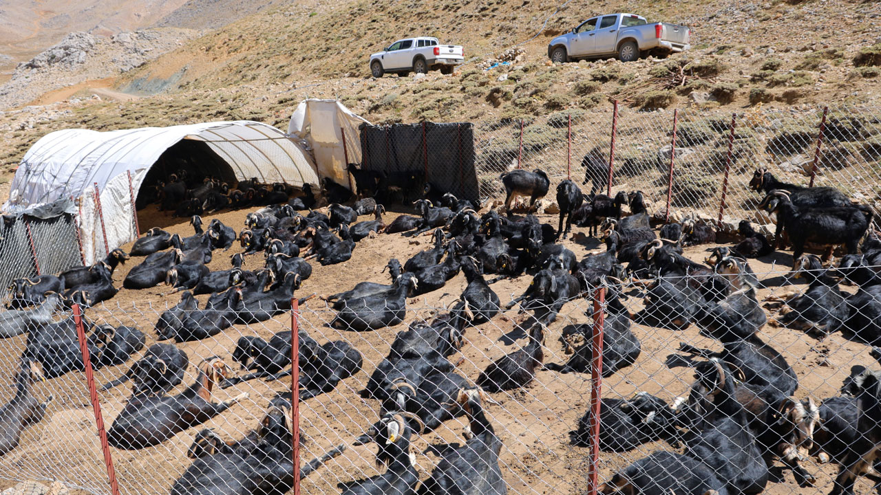 Foto - Yaylalarda hayat değişti! Elektrik yoktu, güneş çare oldu