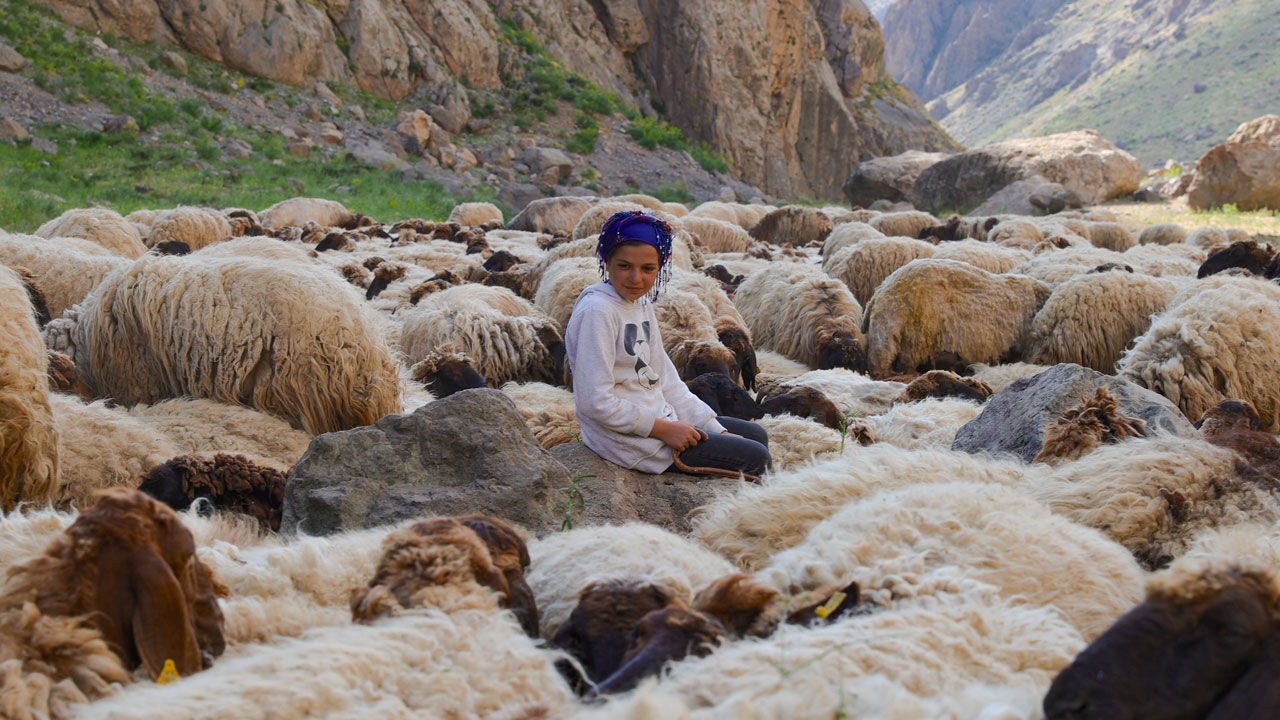 Foto - Yaylanın sessiz kahramanları! Cennet Cehennem Vadisi’nde göçer çocukların zorlu yazı